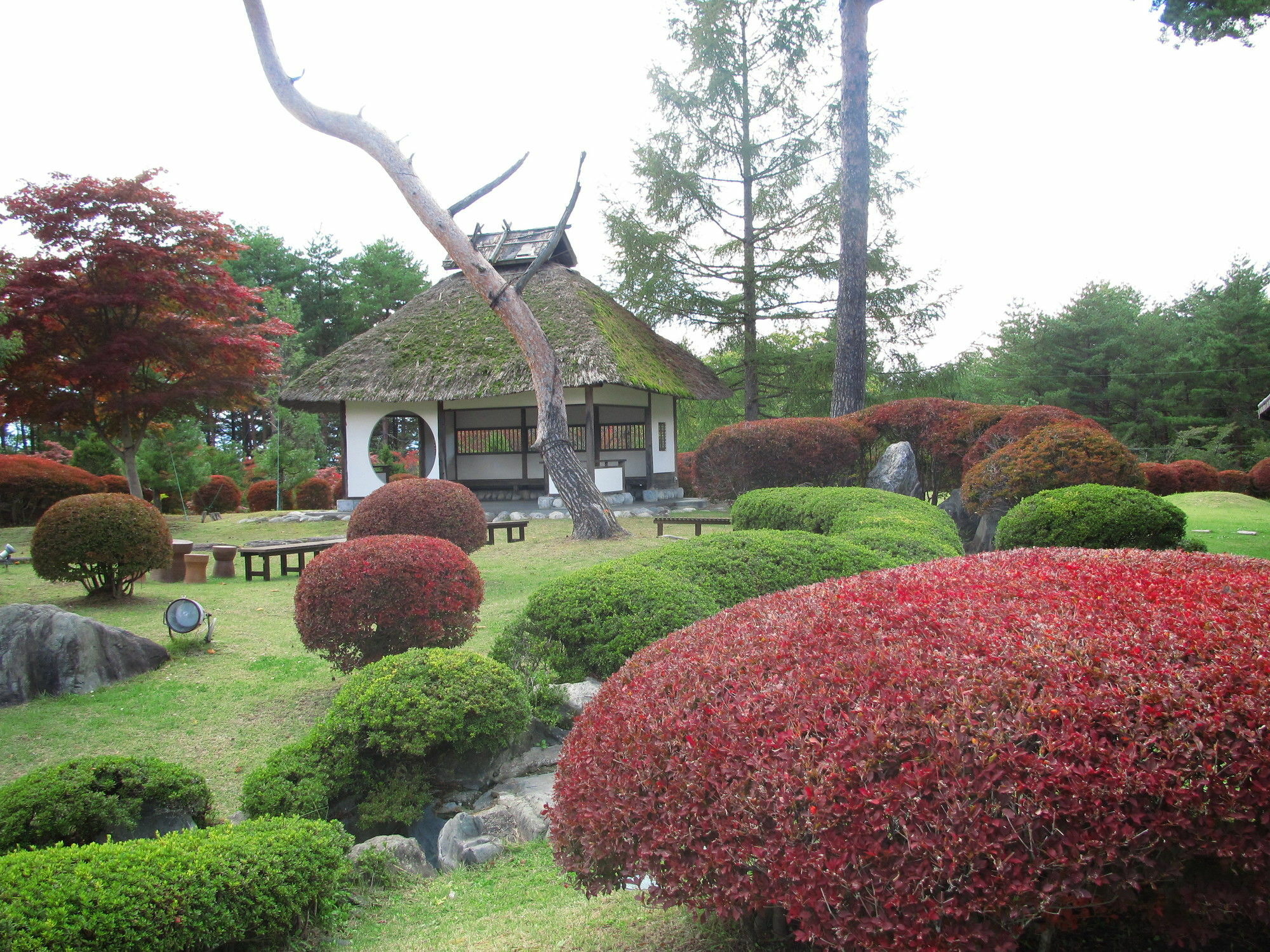Suwakonomori Shikitei Hotel ซุวะ ภายนอก รูปภาพ