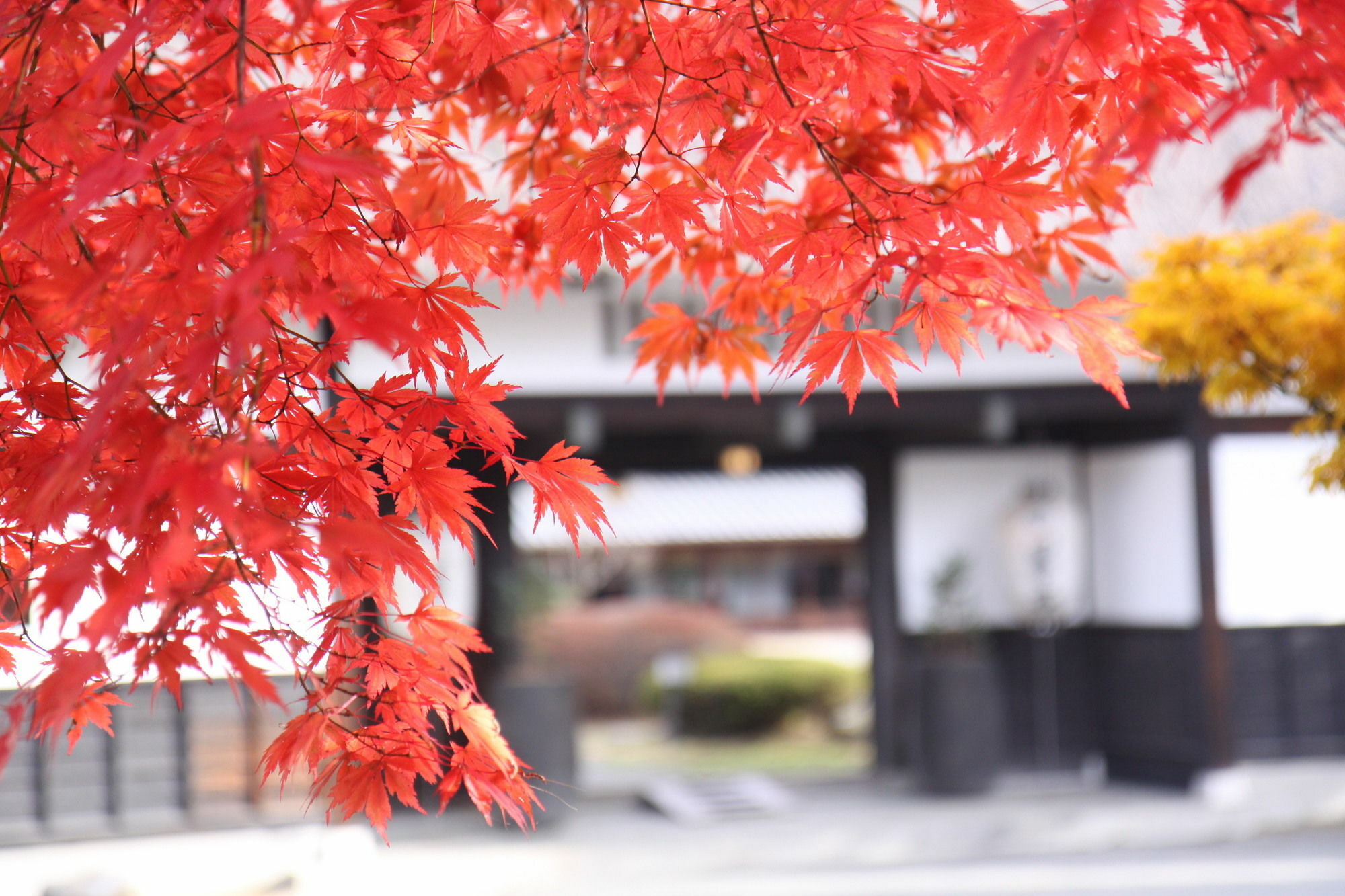 Suwakonomori Shikitei Hotel ซุวะ ภายนอก รูปภาพ